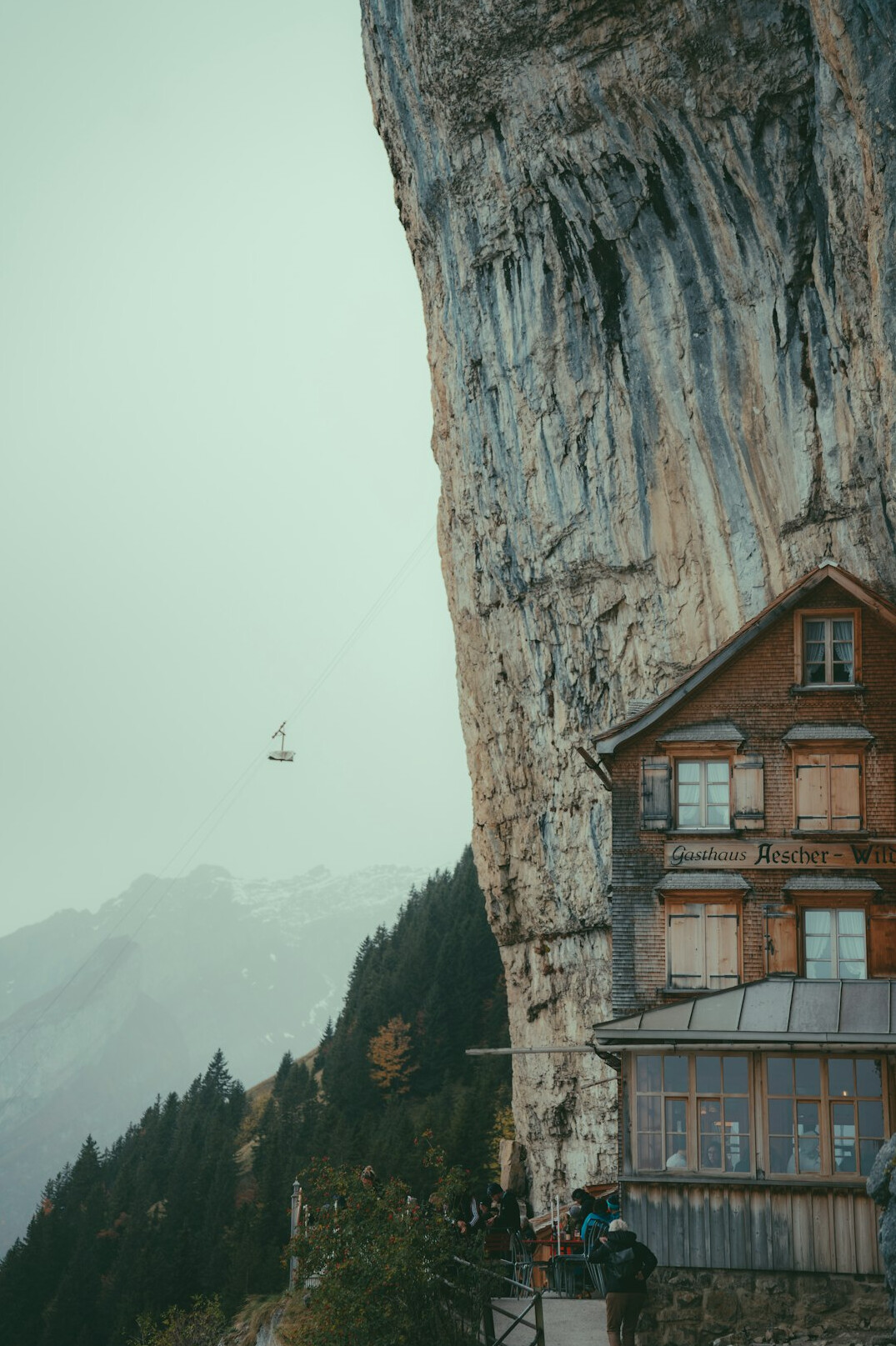 switzerland mountain forest